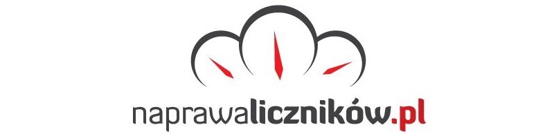logo naprawalicznikow.pl